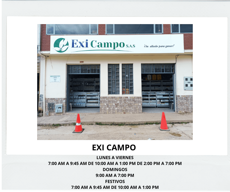 exi_campo